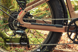 Aventon Aventure 3 Fat Bike Ebike Stealth Black